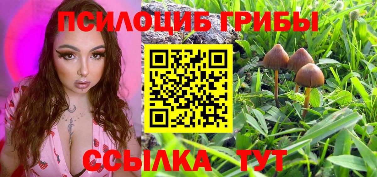закладка  Галлюциногенные грибы GOLDEN TEACHER  Вход с VPN  Кропоткин  Псилоцибиновые грибы мицелий 
